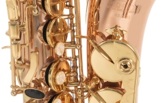 Saxofon Roy Benson Eb-Alt Roy Benson AS202G 