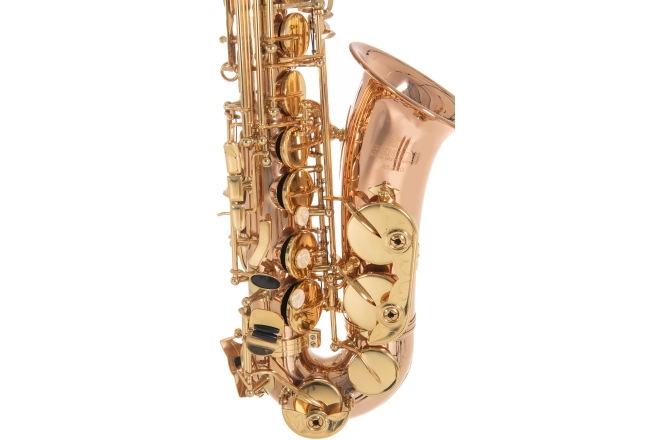 Saxofon Roy Benson Eb-Alt Roy Benson AS202G 