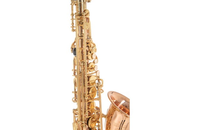 Saxofon Roy Benson Eb-Alt Roy Benson AS202G 