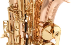 Saxofon Roy Benson Eb-Alt Roy Benson AS202G 
