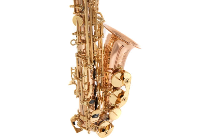 Saxofon Roy Benson Eb-Alt Roy Benson AS202G 