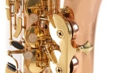 Saxofon Roy Benson Eb-Alt Roy Benson AS202G 