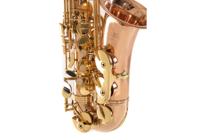 Saxofon Roy Benson Eb-Alt Roy Benson AS202G 