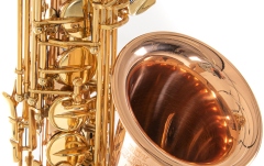 Saxofon Roy Benson Eb-Alt Roy Benson AS202G 