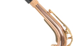 Saxofon Roy Benson Eb-Alt Roy Benson AS202G 