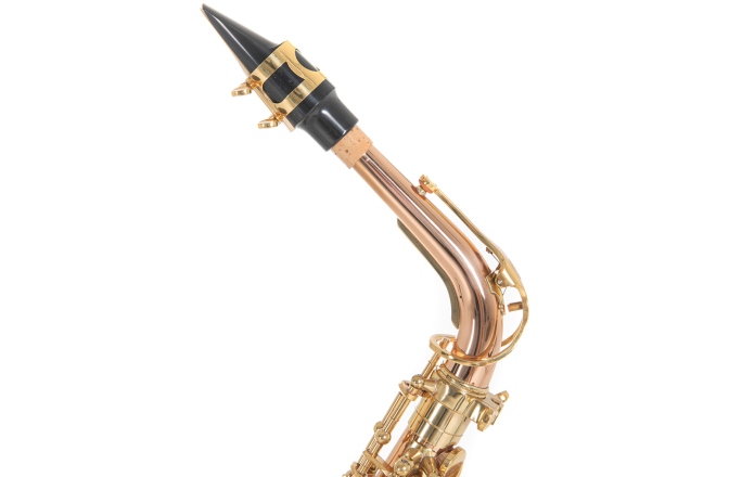 Saxofon Roy Benson Eb-Alt Roy Benson AS202G 