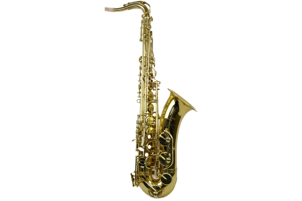 TS-818L