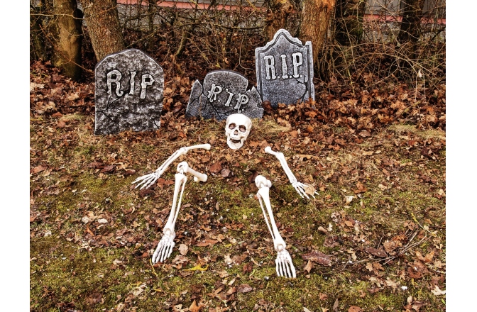 Schelet dezmembrat Europalms Halloween Skeleton, multipart