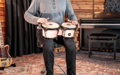 Set Bongos Meinl Journey Series Bongo HB50FP