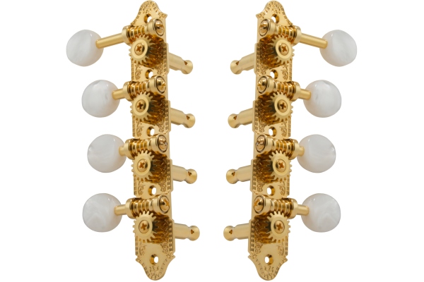 309FG Professional Mandolin Standard 309FG Professional Mandolin Standard