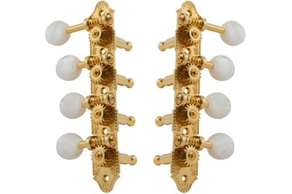 409FG Professional Mandolin Standard 409FG Professional Mandolin Standard