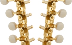 Set cheițe mandolină Grover 409FGW Professional Mandolin Standard "F"-Style Gold