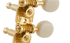 Set cheițe mandolină Grover 409FGW Professional Mandolin Standard "F"-Style Gold