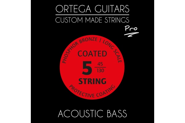 Corzi custom Corzi custom
