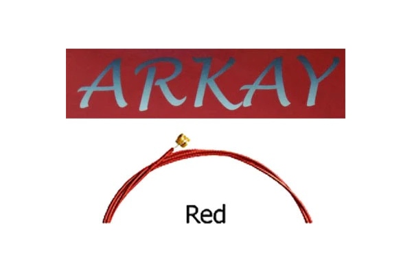 Aurora Arkay Acoustic 12s Red