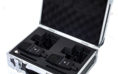 Set de microfoane stereo sE Electronics SE 4400A Stereo Set