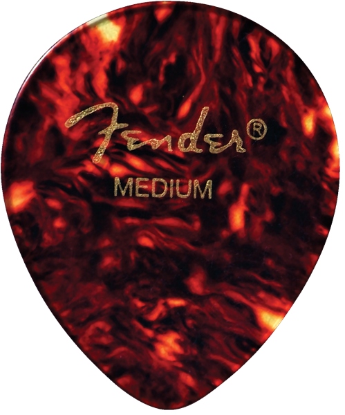 Fender 347 Shape Tortoise Shell Heavy (12)