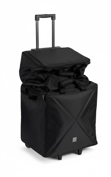 LD Systems DAVE 10 G4X BAG SET