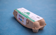 Set Egg Shaker Nino Percussion Egg Shaker Set - Soft Sound