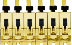 Set saddles Floydrose Floyd Rose  FRP1BSSG - 1000 Series Pro 6-String Saddle Set - Gold