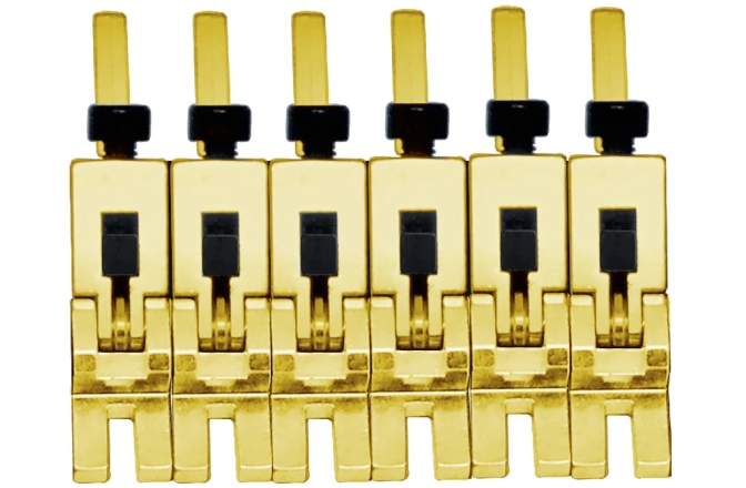 Set saddles Floydrose Floyd Rose  FRP1BSSG - 1000 Series Pro 6-String Saddle Set - Gold