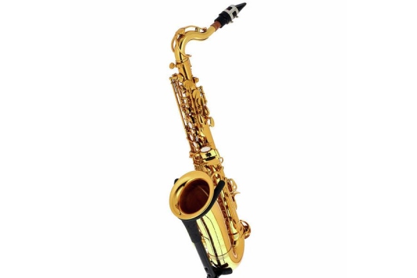 Little Bee Kids Saxophone Set