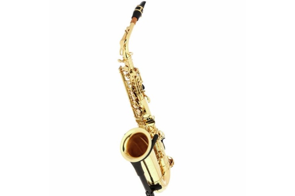 TAS-180 Alto Sax Set