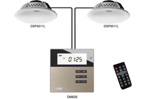 DSPPA M2U DM835W + DSP5011L System