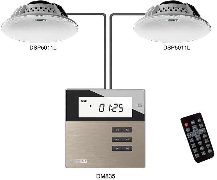 DSPPA M2U DM835W + DSP5011L System