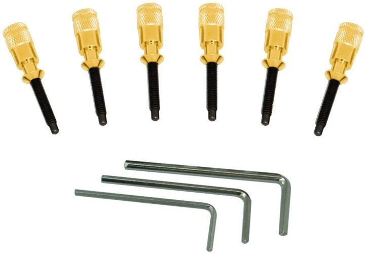 Floyd Rose FRHPGP - Hollow Point Intonation System - Gold