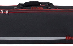 Set vioară avansați Hidersine Piacenza 4/4 Set