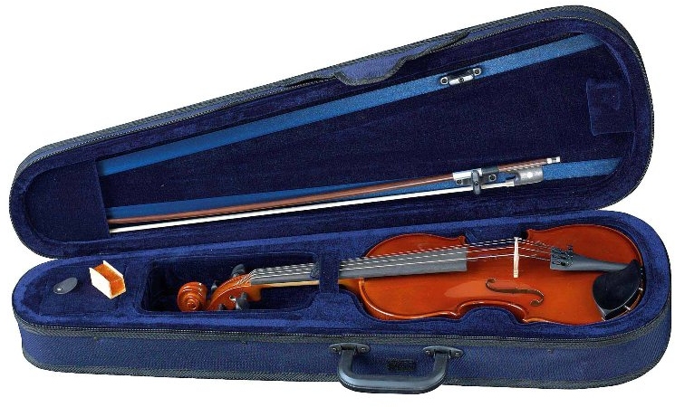 Petz YB40-VAS 420 Viola