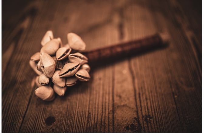 Shaker Meinl Kenari Rod Shaker