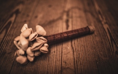 Shaker Meinl Kenari Rod Shaker