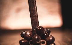 Shaker Meinl Pala Rod Shaker