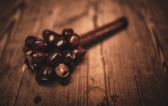 Shaker Meinl Pala Rod Shaker