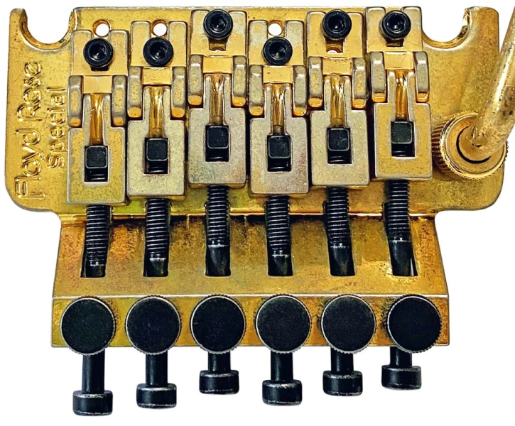 Floyd Rose FRTS3000R - Special Tremolo - Relic Gold