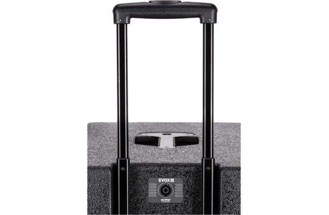 Sistem activ pe 2 cai de tip Array cu procesare DSP RCF EVOX 12