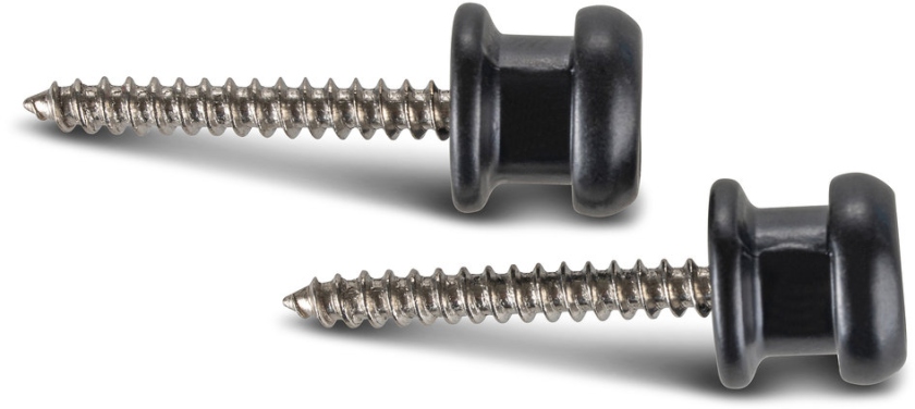 Gewa Strap lock F&S Security Lock negru mat