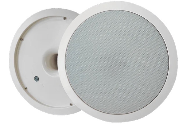SW-100T Subwoofer