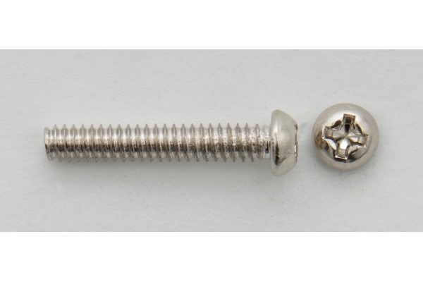 Strat Pickup Screw
