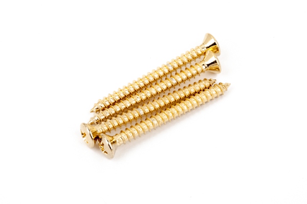 Fender Neck Mounting Screws Gold (4)