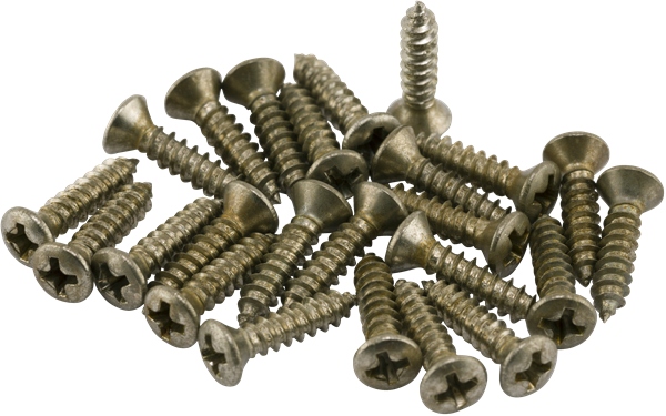 Fender Road Worn Pickguard/Control Plate Screws (24)