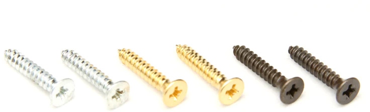 Floyd Rose FR1NMSTC - 1000 Series / Special Nut Mounting Screws (2 pcs) - Top - Chrome