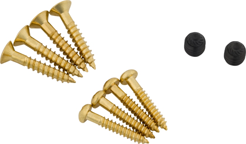 Bigsby Screw Pack Gold