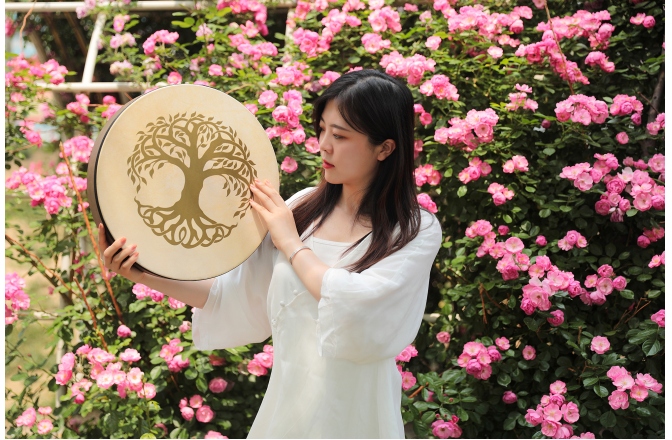 Tobă de Mână Meinl Hand Drum 16" / 40.6 cm - Tree of Life