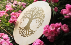 Tobă de Mână Meinl Hand Drum 16" / 40.6 cm - Tree of Life