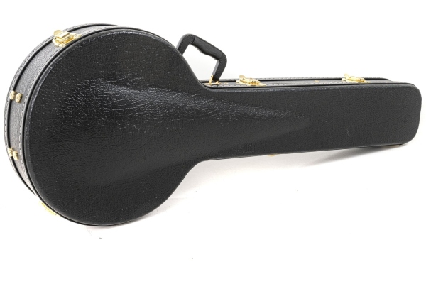 Flat Top Economy Banjo 4 corzi