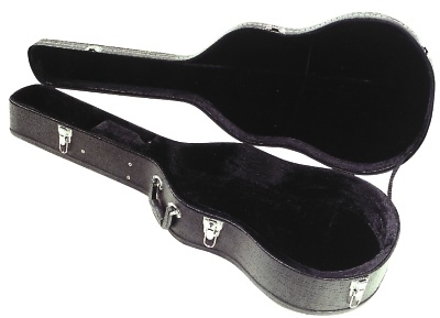 Gewa FX Western Case Wood