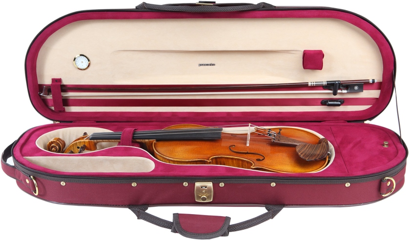 Pacato Mezza Luna Violin Case
